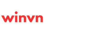 winvncom.co.com logo white