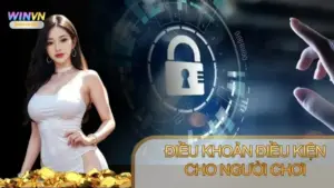 Điều khoản điều kiện Winvn áp dụng cho người chơi